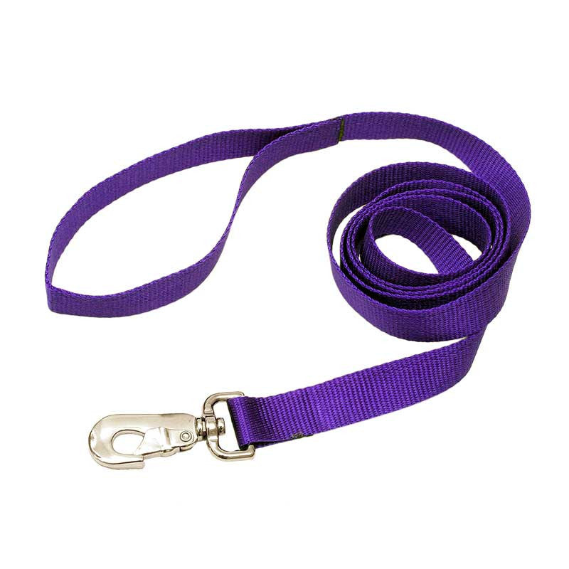Nylon Leash, - Lucky Pet